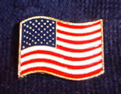 Large Flag Pin